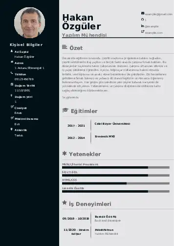 Yazılım Mühendisi Cv Örnekleri cv indir